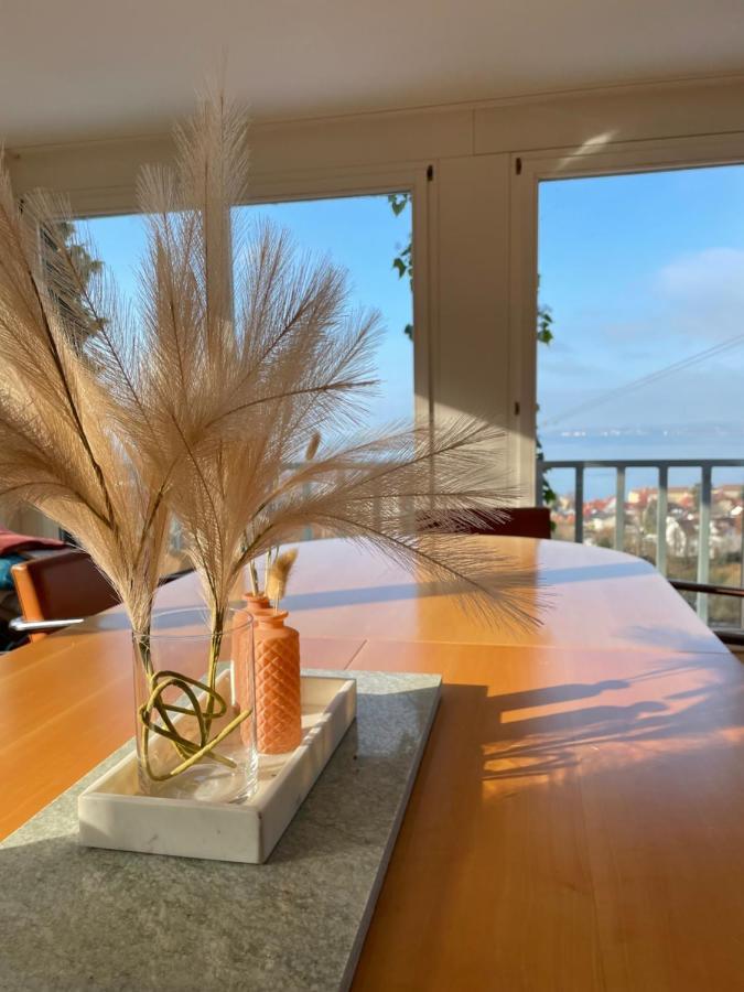 Villa Mit Traumhaftem Blick Uber Den Bodensee Bregenz Dış mekan fotoğraf